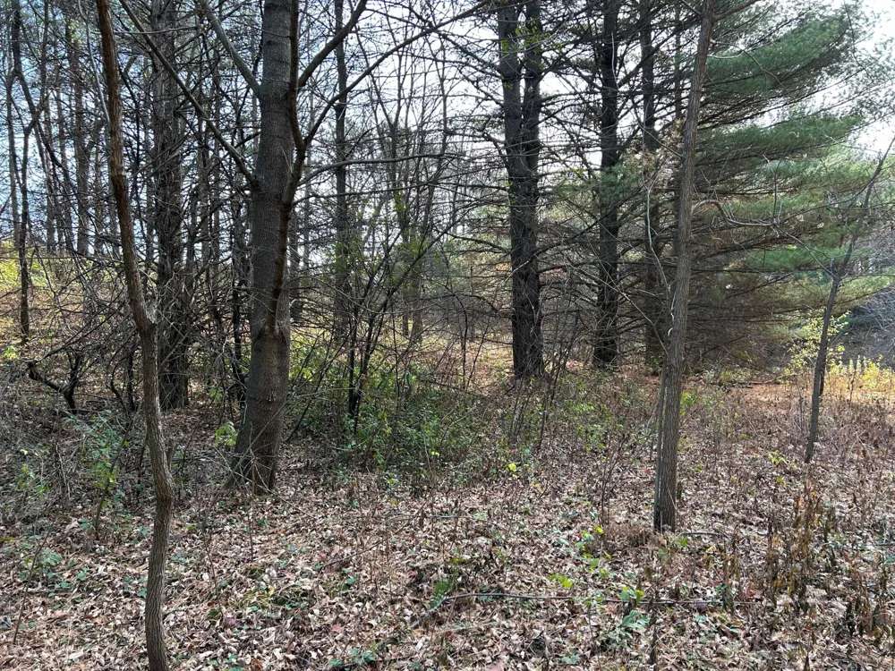1888 80th Street Somerset, WI 54025