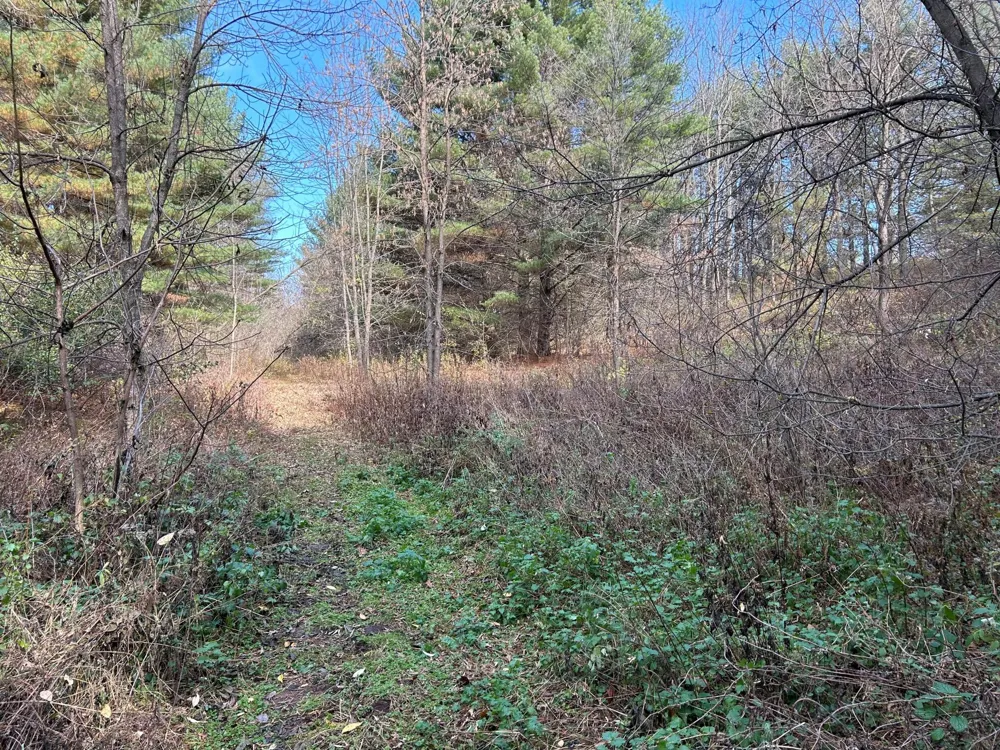 1888 80th Street Somerset, WI 54025