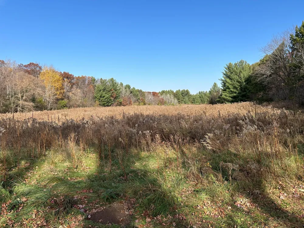 1888 80th Street Somerset, WI 54025