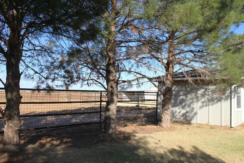 914 Robin Road Levelland, TX 79336