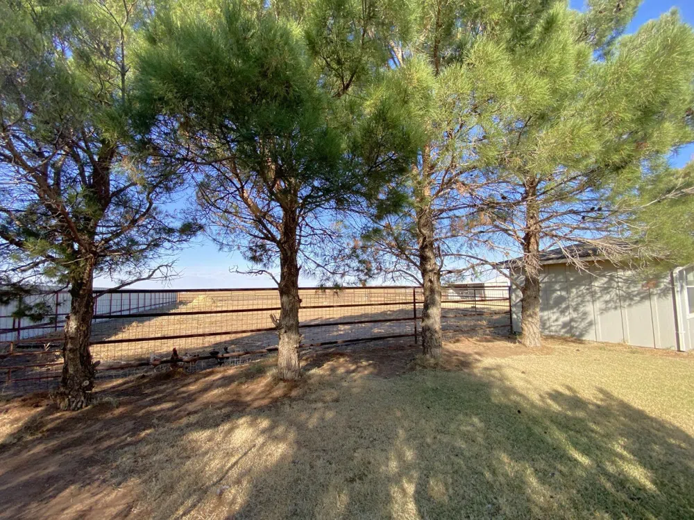 914 Robin Road Levelland, TX 79336