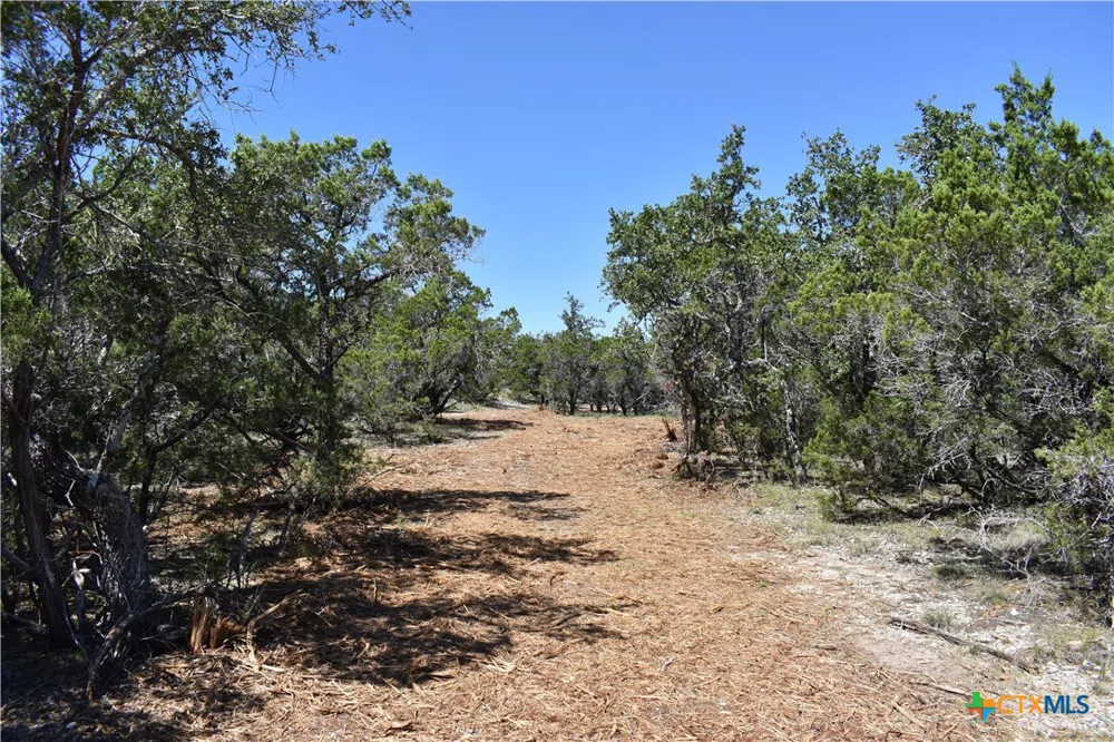 24369 Round Mountain Road #6 Leander, TX 78641