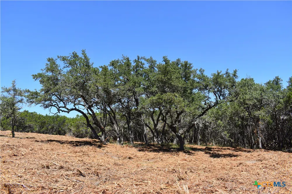24369 Round Mountain Road #6 Leander, TX 78641