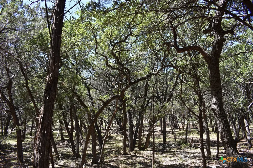 24369 Round Mountain Road #6 Leander, TX 78641