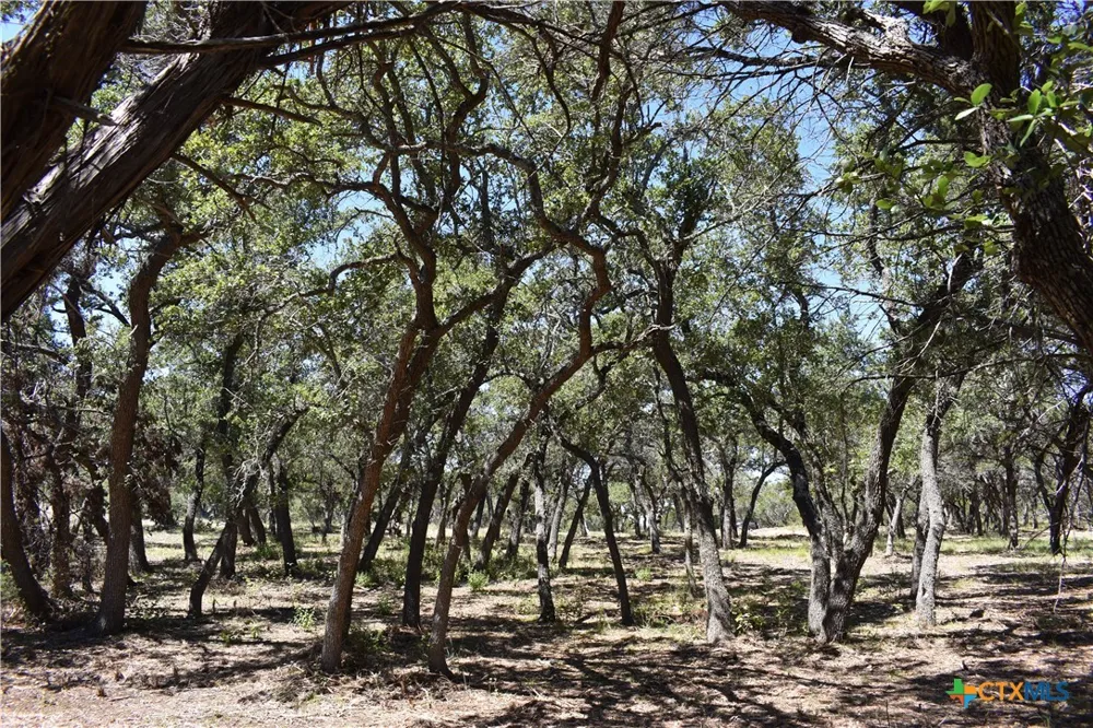 24369 Round Mountain Road #6 Leander, TX 78641