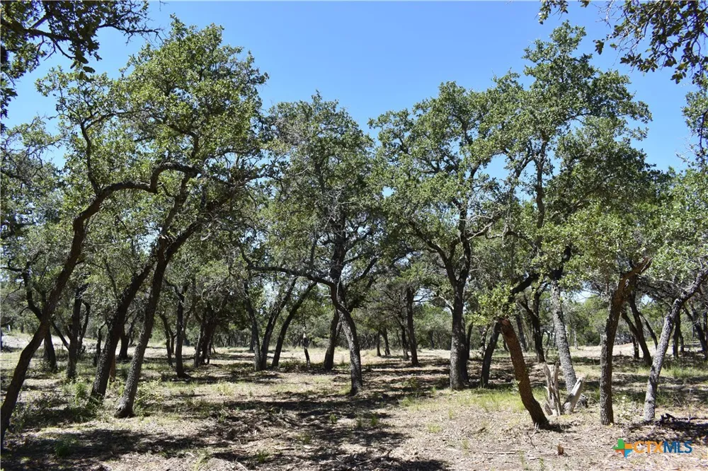 24369 Round Mountain Road #6 Leander, TX 78641