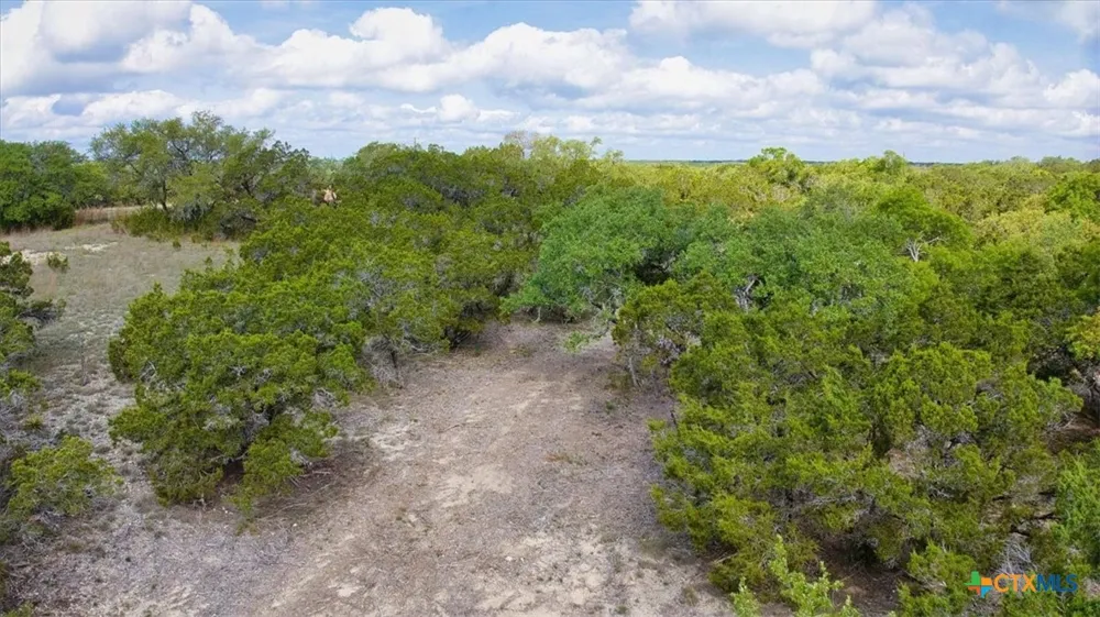 24369 Round Mountain Road #6 Leander, TX 78641