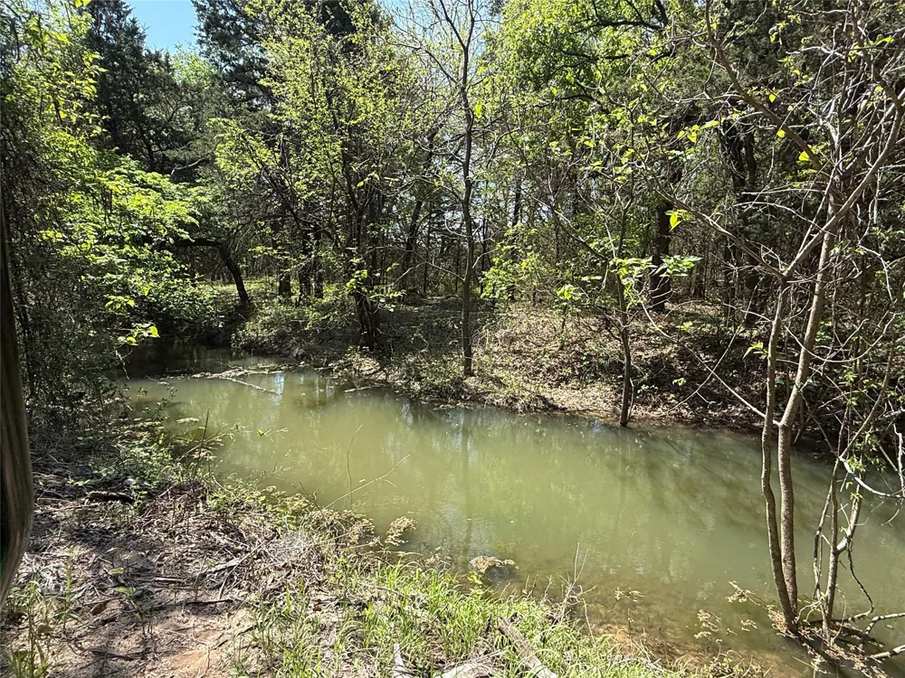 261 Catholic Cemetery Road Montague, TX 76251