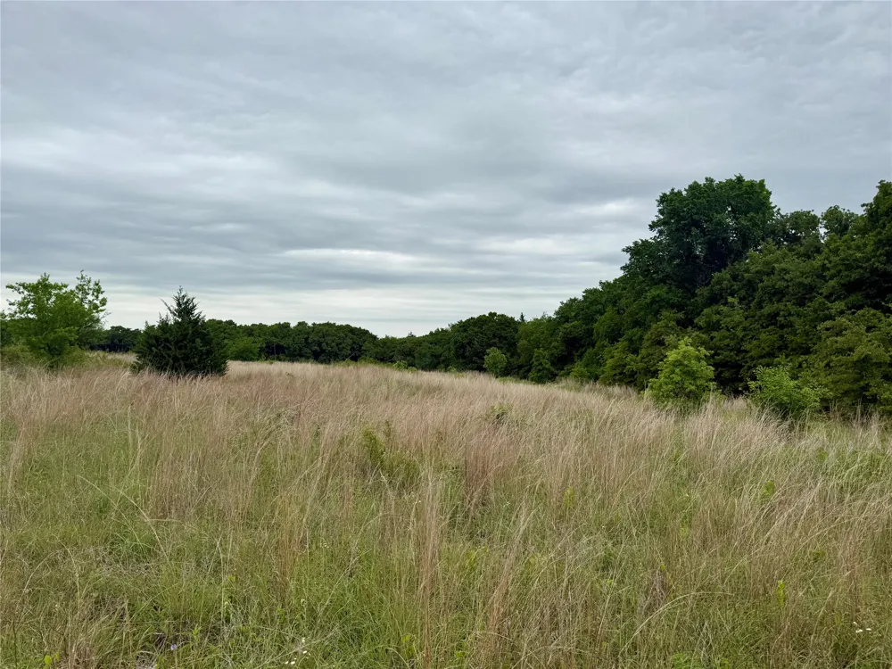 261 Catholic Cemetery Road Montague, TX 76251