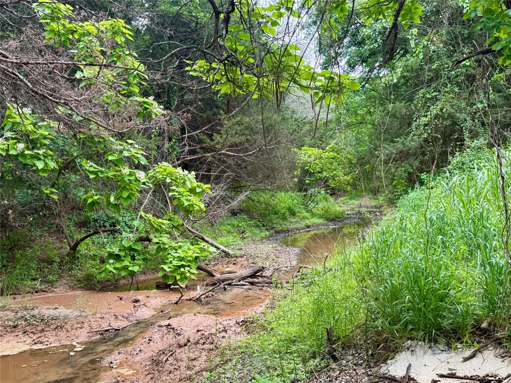 261 Catholic Cemetery Road Montague, TX 76251