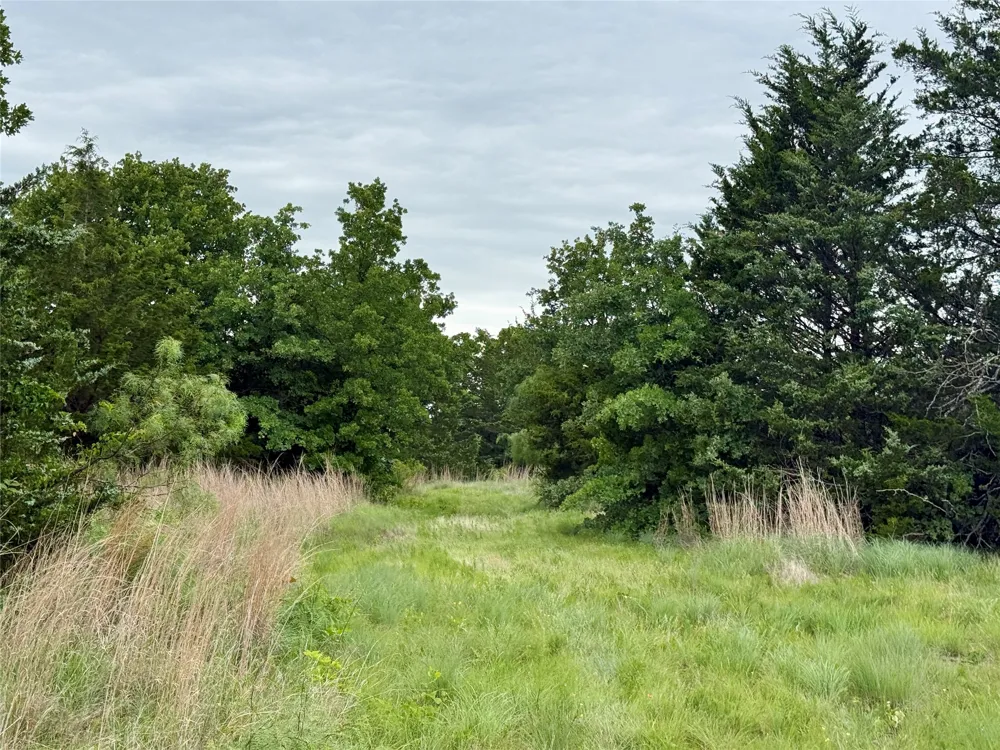 261 Catholic Cemetery Road Montague, TX 76251