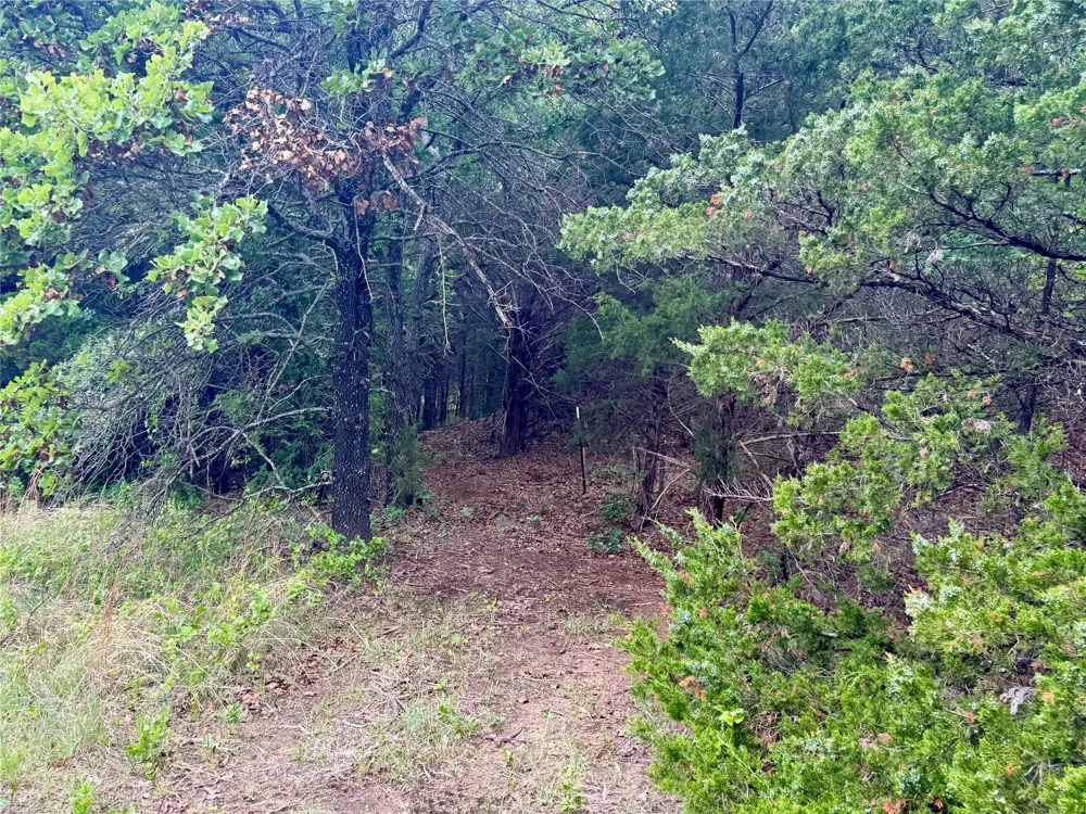 261 Catholic Cemetery Road Montague, TX 76251