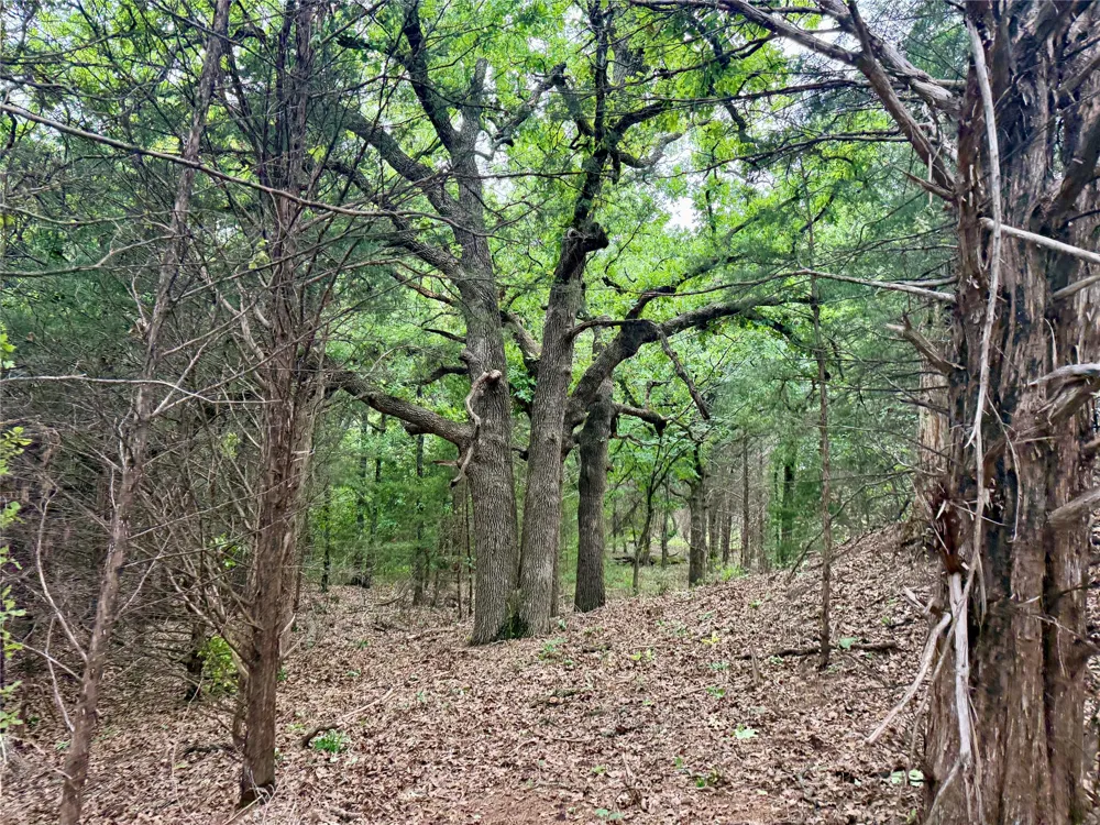261 Catholic Cemetery Road Montague, TX 76251