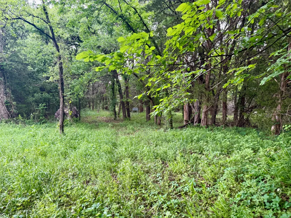 261 Catholic Cemetery Road Montague, TX 76251