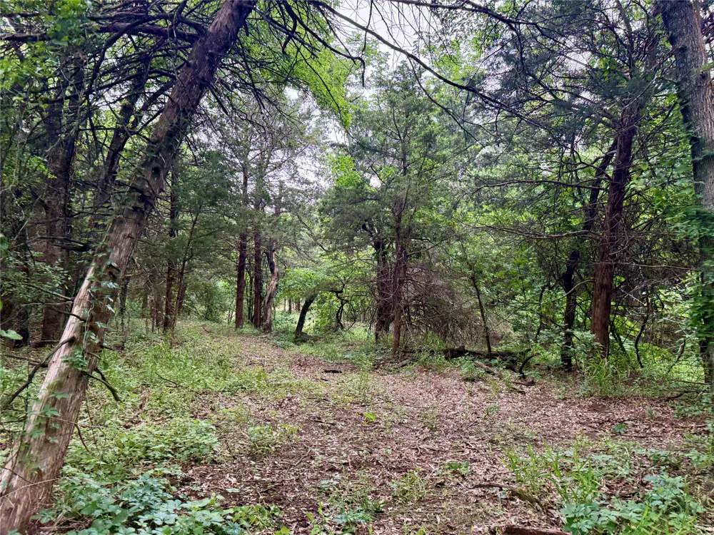 261 Catholic Cemetery Road Montague, TX 76251
