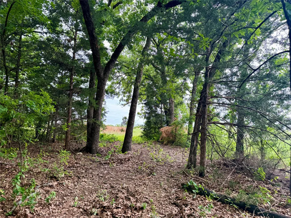 261 Catholic Cemetery Road Montague, TX 76251