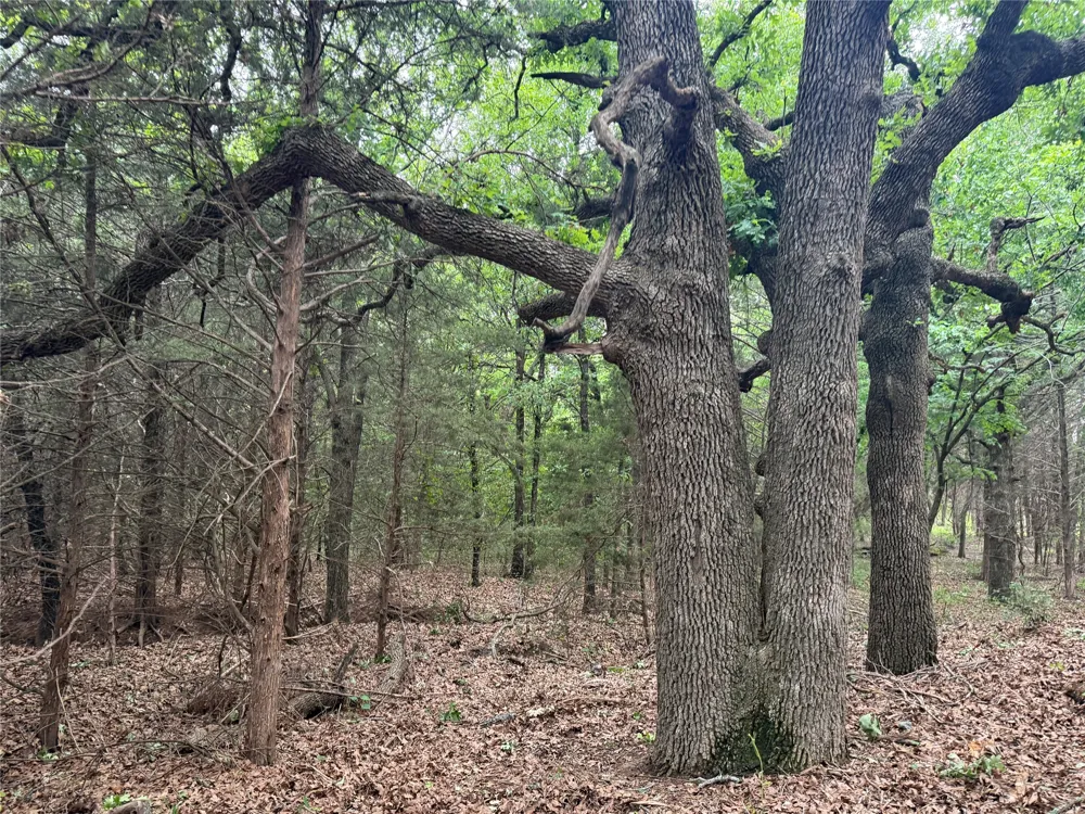 261 Catholic Cemetery Road Montague, TX 76251