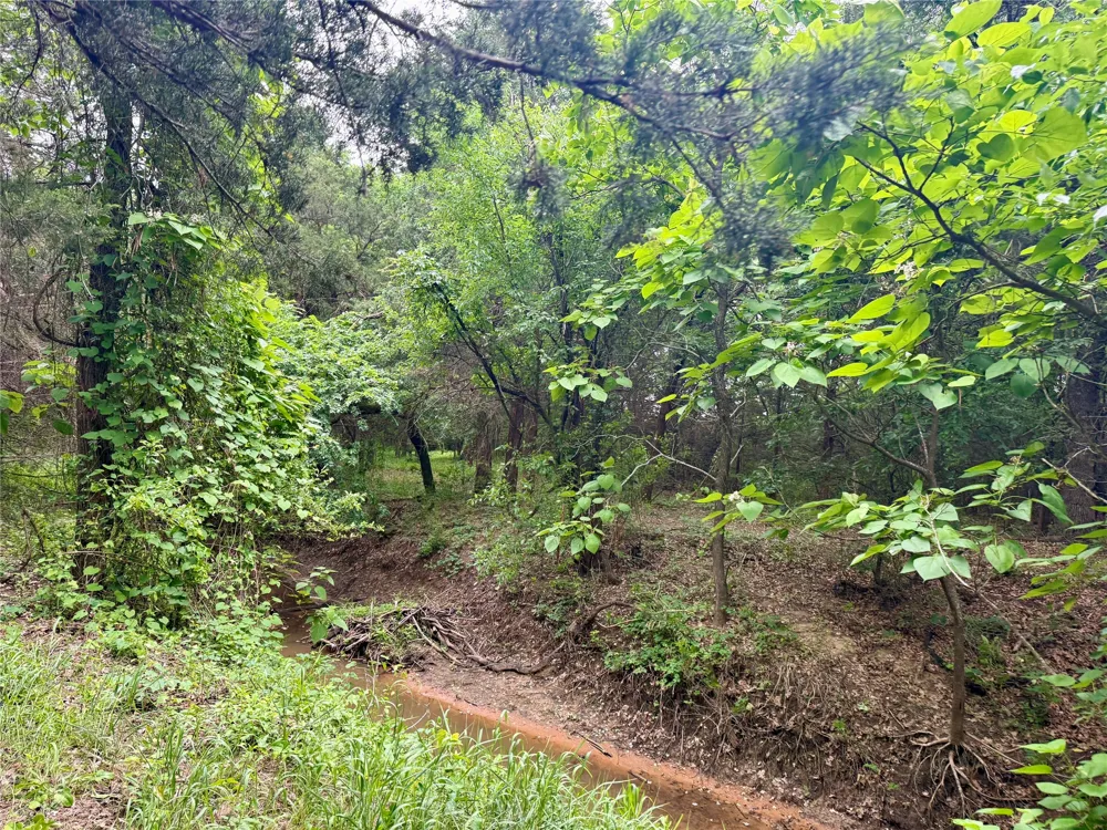 261 Catholic Cemetery Road Montague, TX 76251