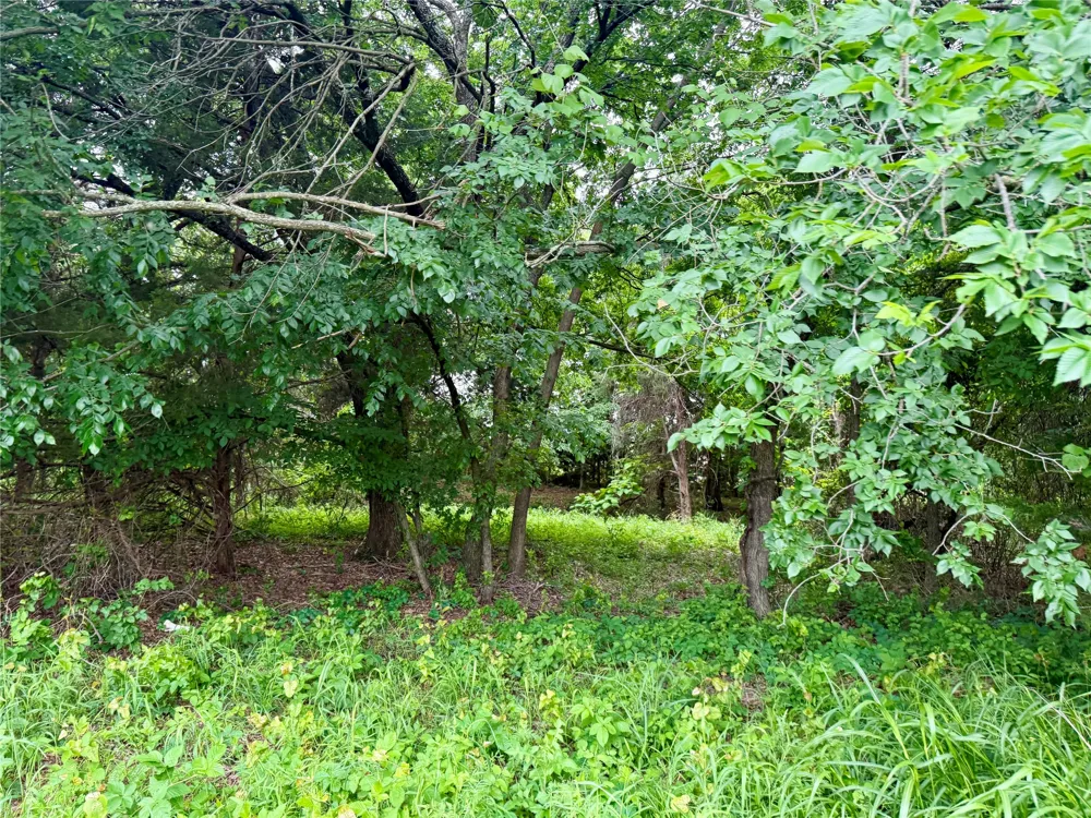 261 Catholic Cemetery Road Montague, TX 76251