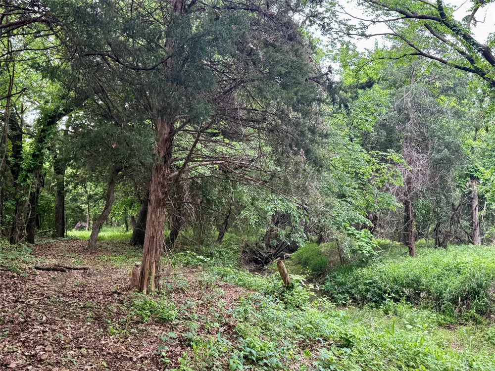 261 Catholic Cemetery Road Montague, TX 76251