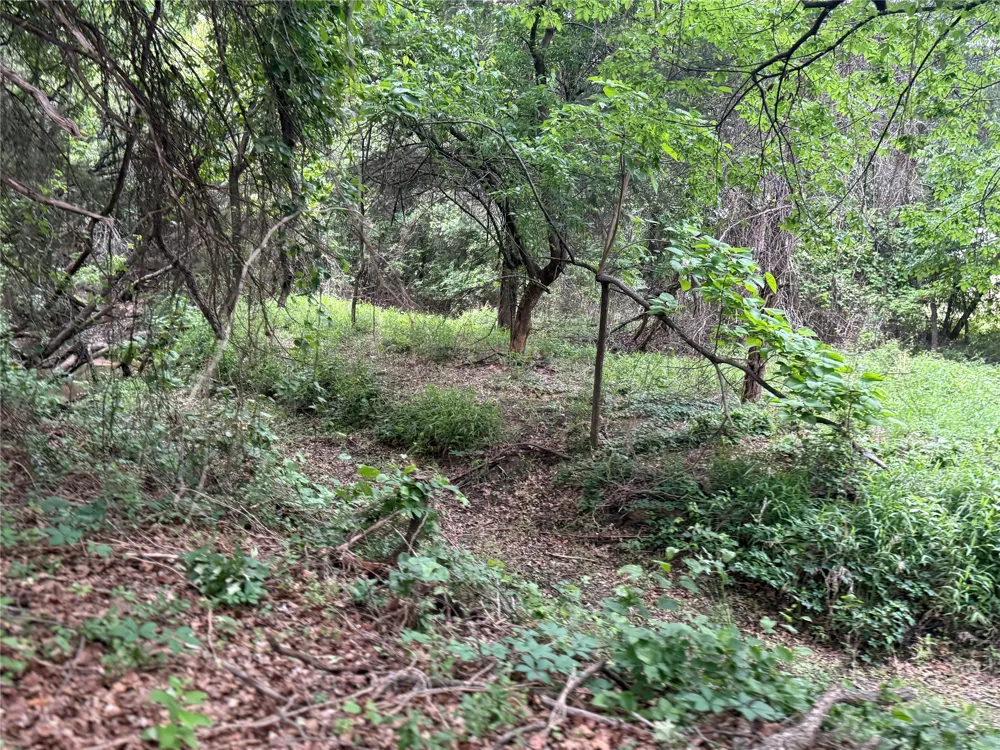 261 Catholic Cemetery Road Montague, TX 76251