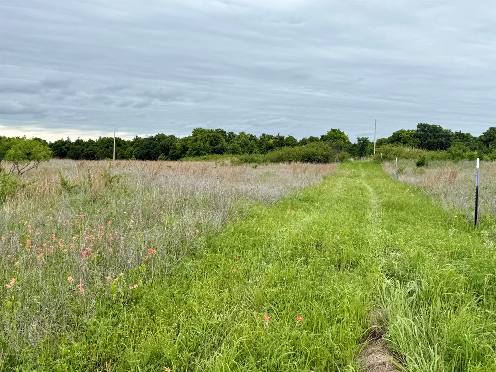 261 Catholic Cemetery Road Montague, TX 76251