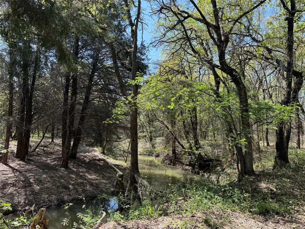 261 Catholic Cemetery Road Montague, TX 76251