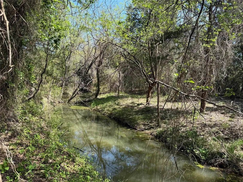 261 Catholic Cemetery Road Montague, TX 76251