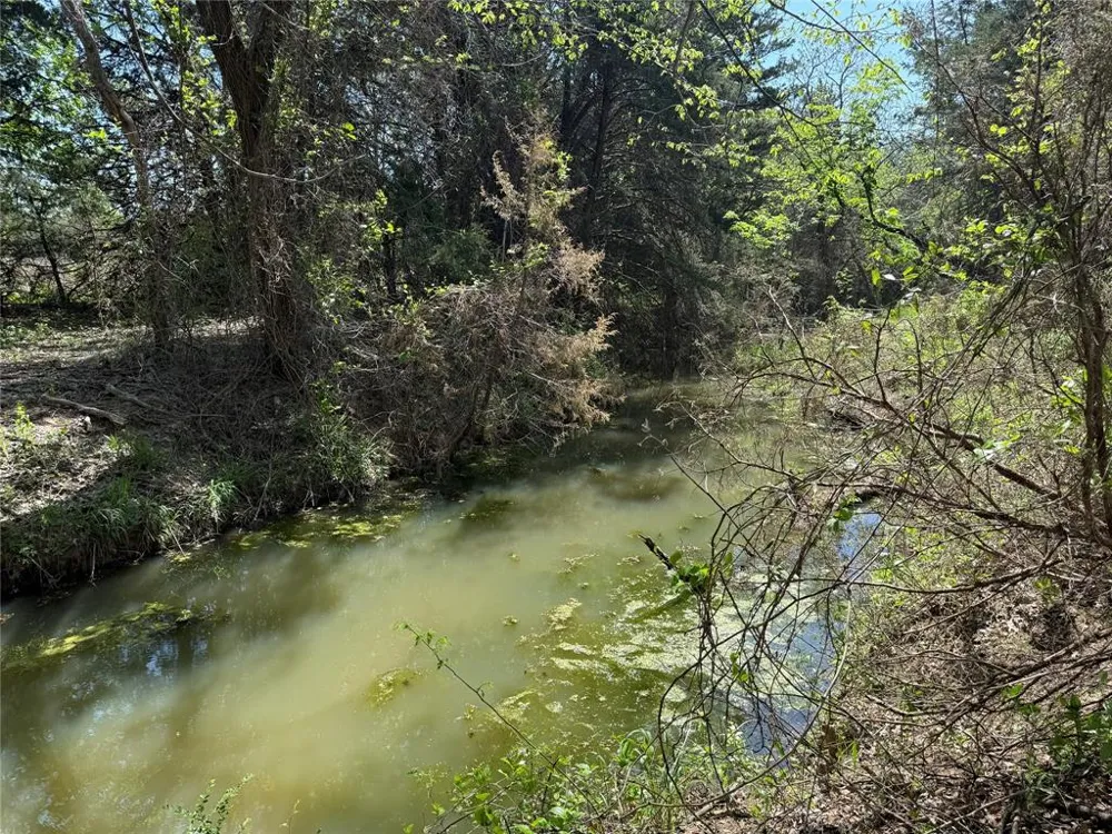 261 Catholic Cemetery Road Montague, TX 76251