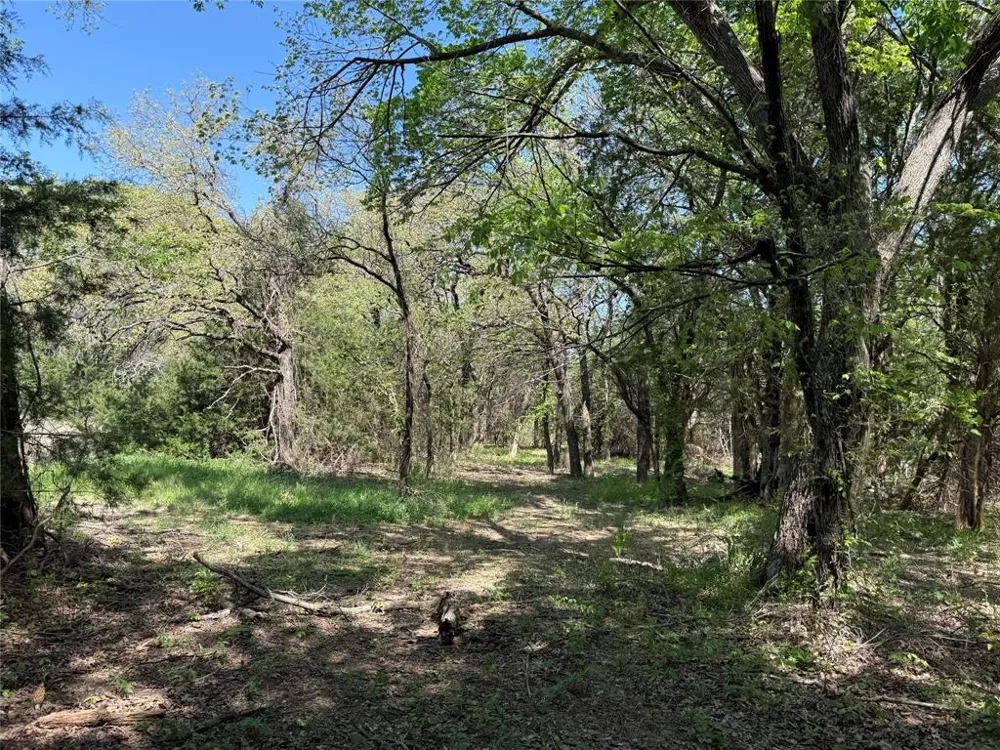 261 Catholic Cemetery Road Montague, TX 76251