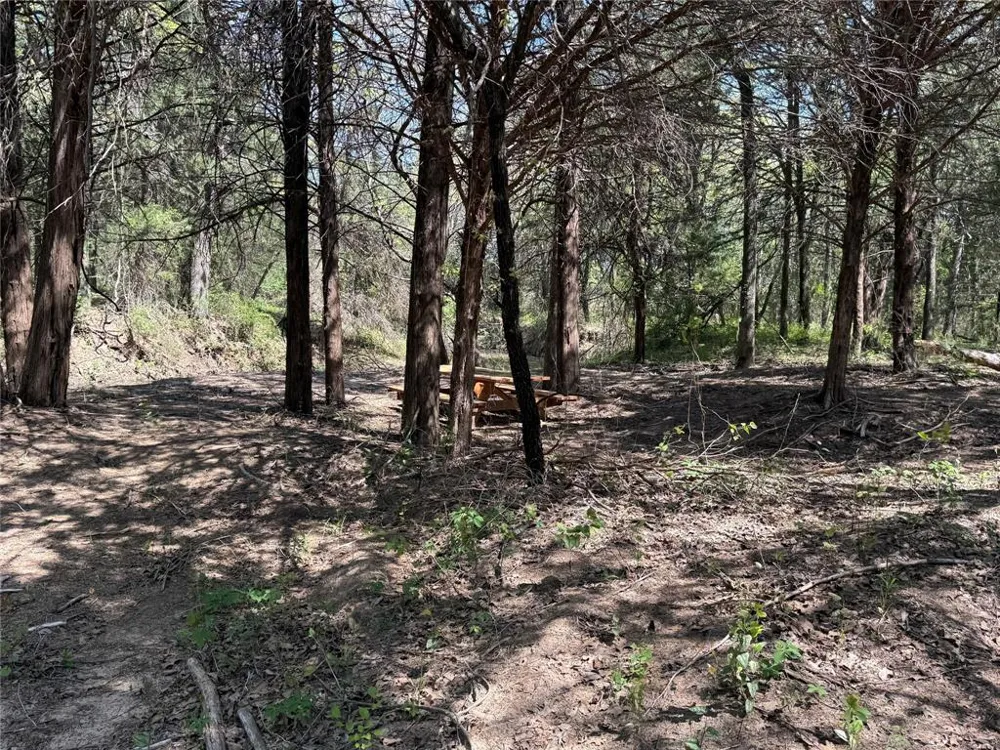 261 Catholic Cemetery Road Montague, TX 76251