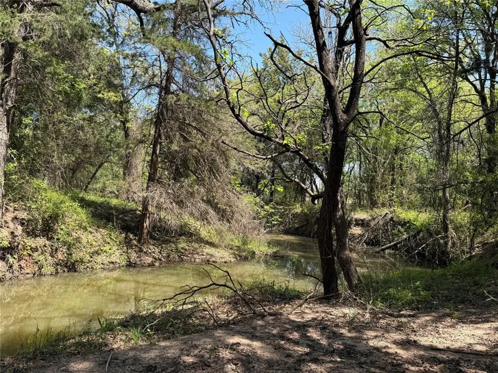 261 Catholic Cemetery Road Montague, TX 76251