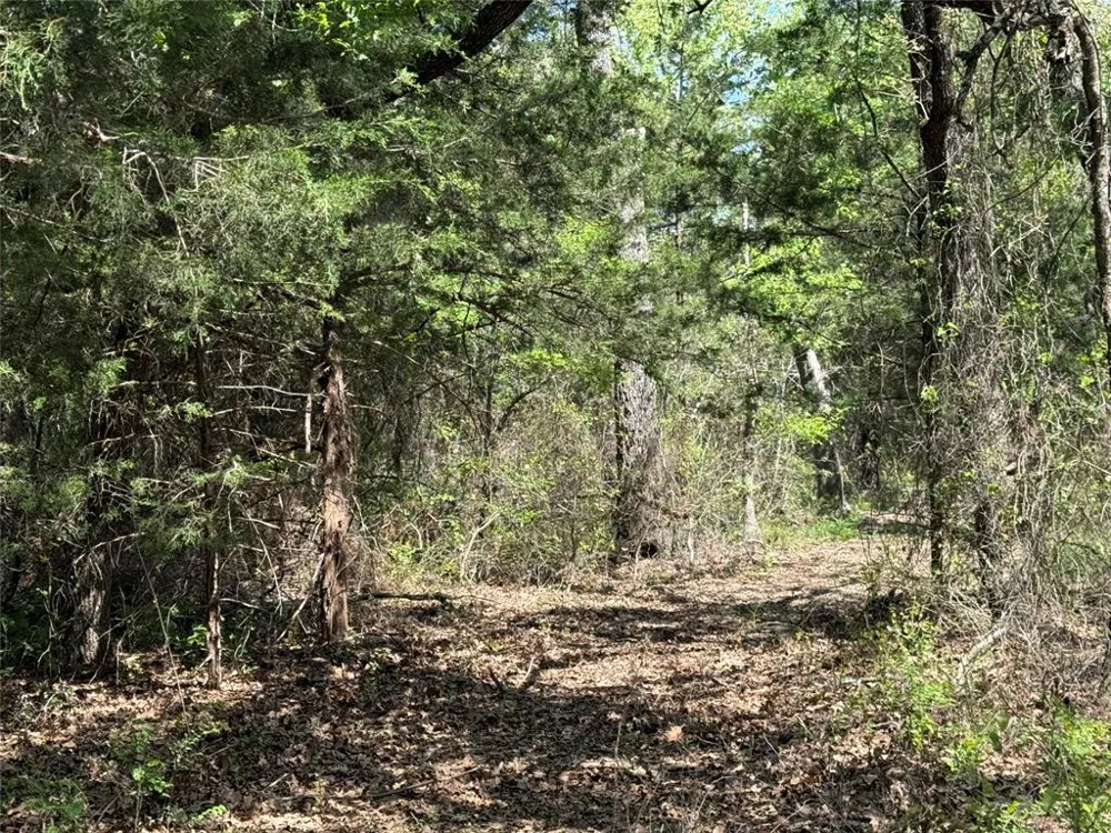 261 Catholic Cemetery Road Montague, TX 76251