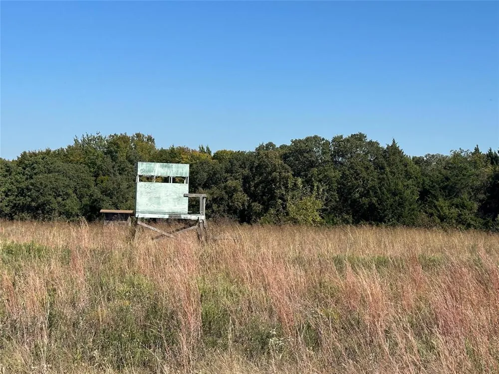 261 Catholic Cemetery Road Montague, TX 76251