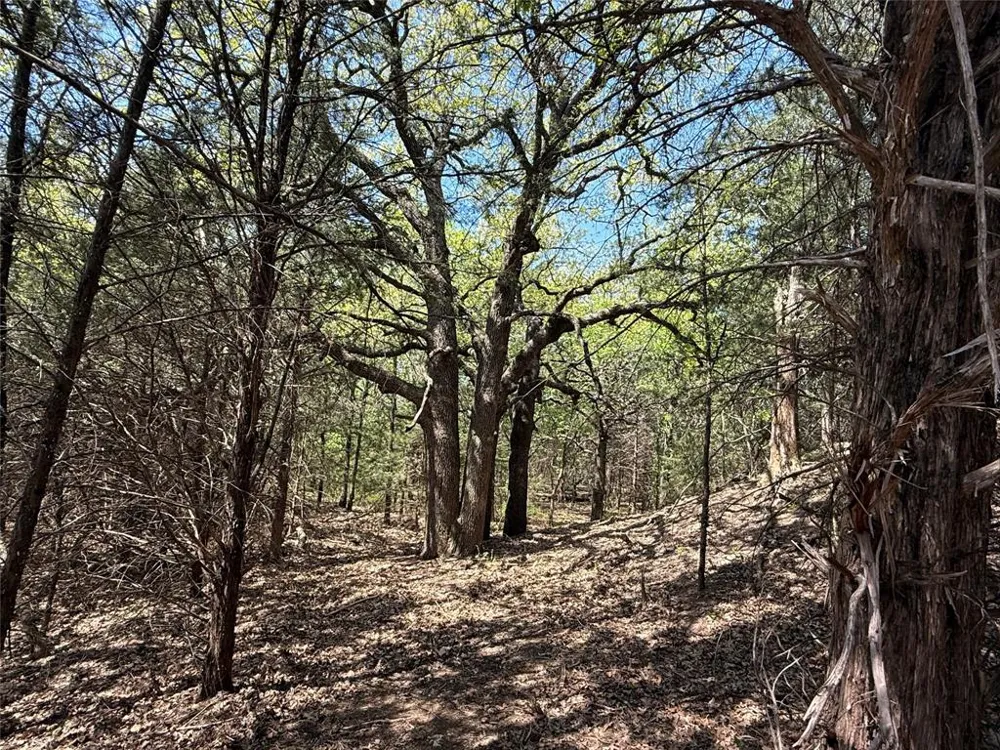 261 Catholic Cemetery Road Montague, TX 76251