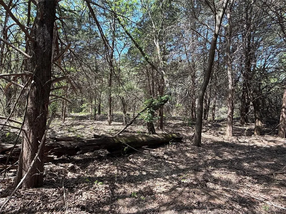 261 Catholic Cemetery Road Montague, TX 76251