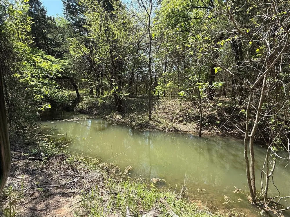 261 Catholic Cemetery Road Montague, TX 76251
