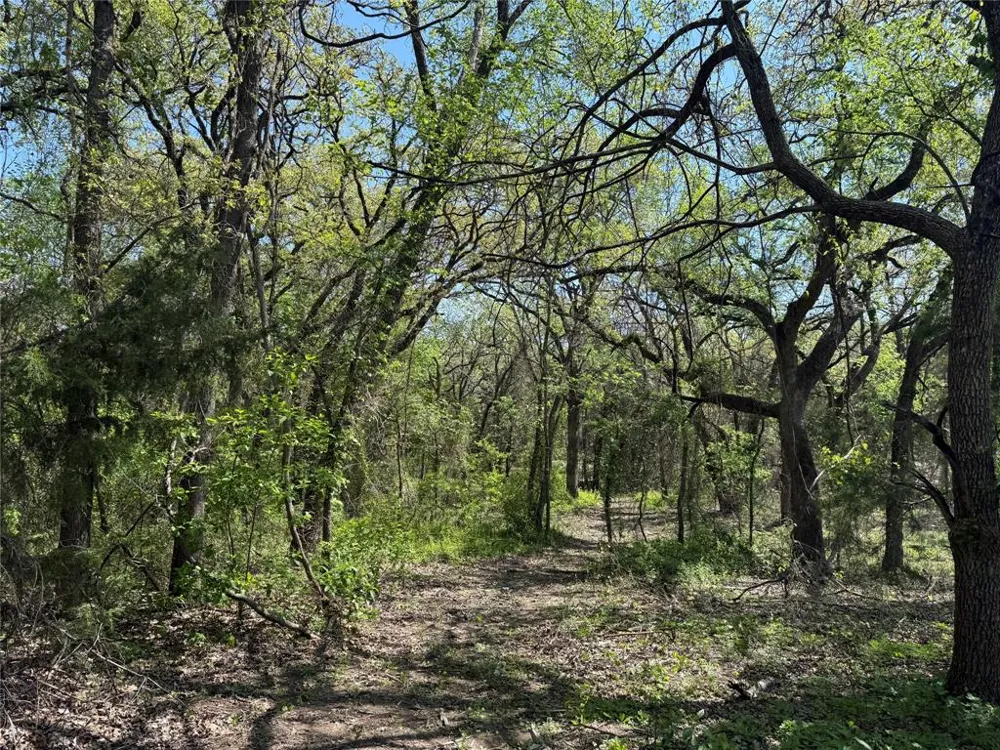 261 Catholic Cemetery Road Montague, TX 76251