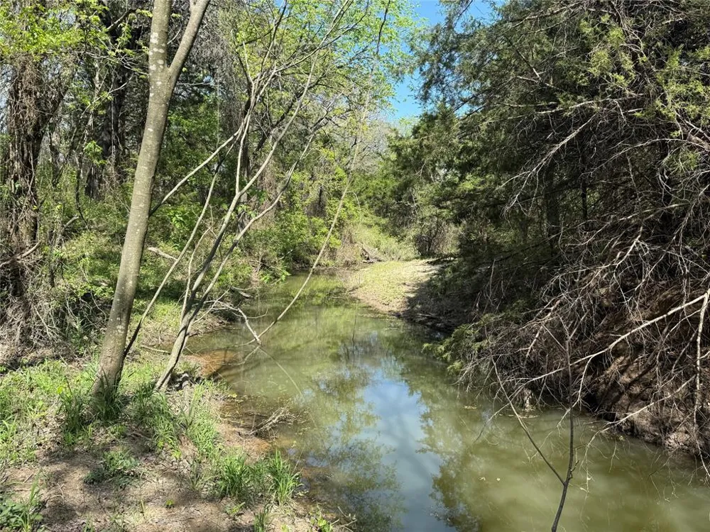 261 Catholic Cemetery Road Montague, TX 76251