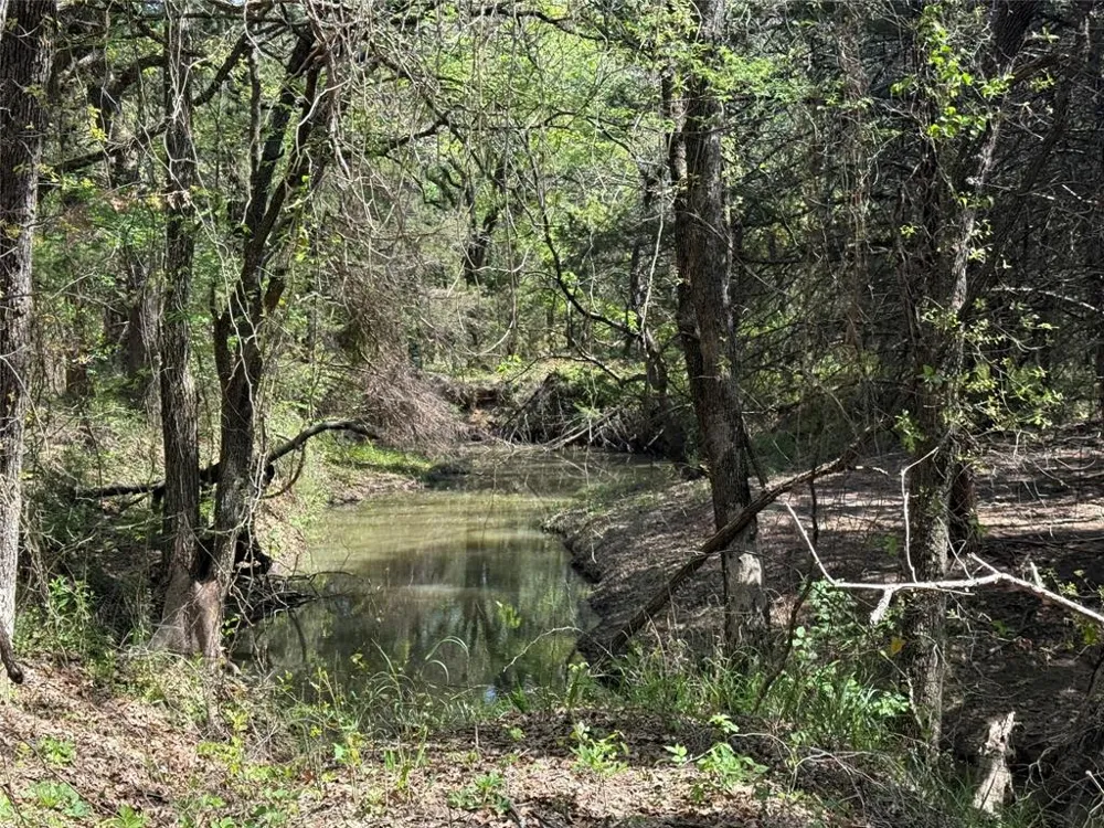 261 Catholic Cemetery Road Montague, TX 76251