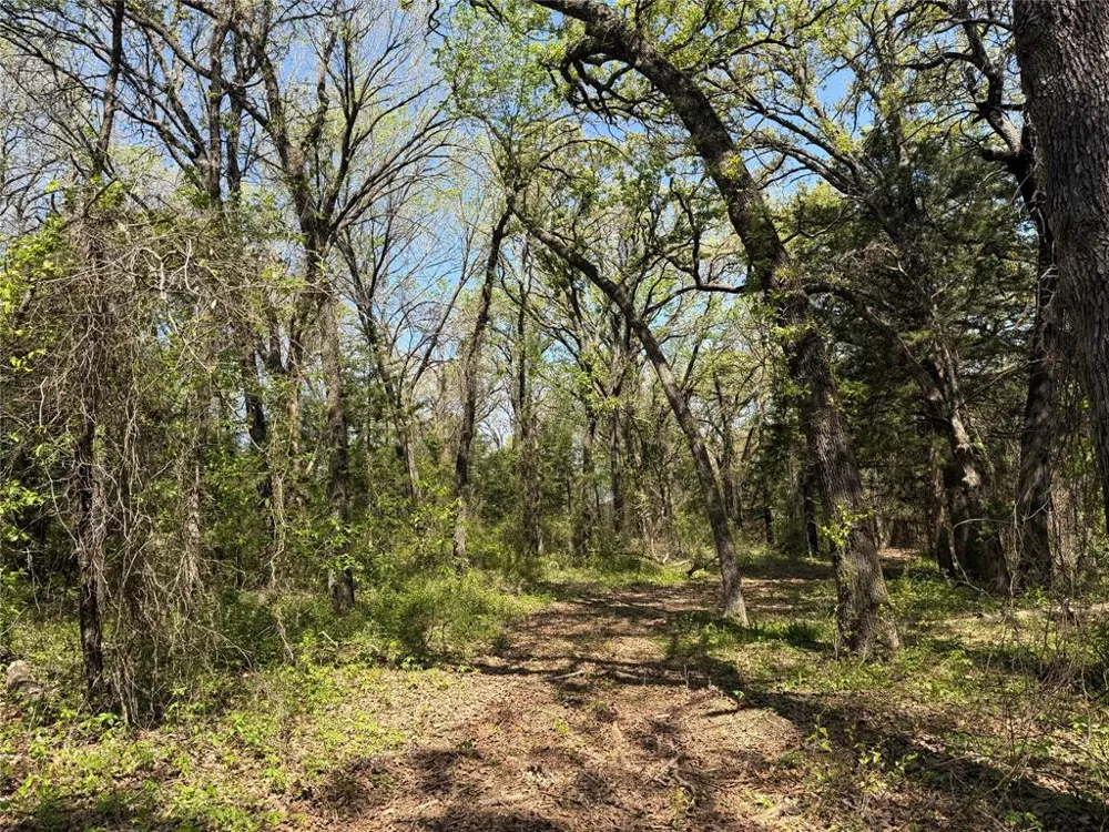 261 Catholic Cemetery Road Montague, TX 76251