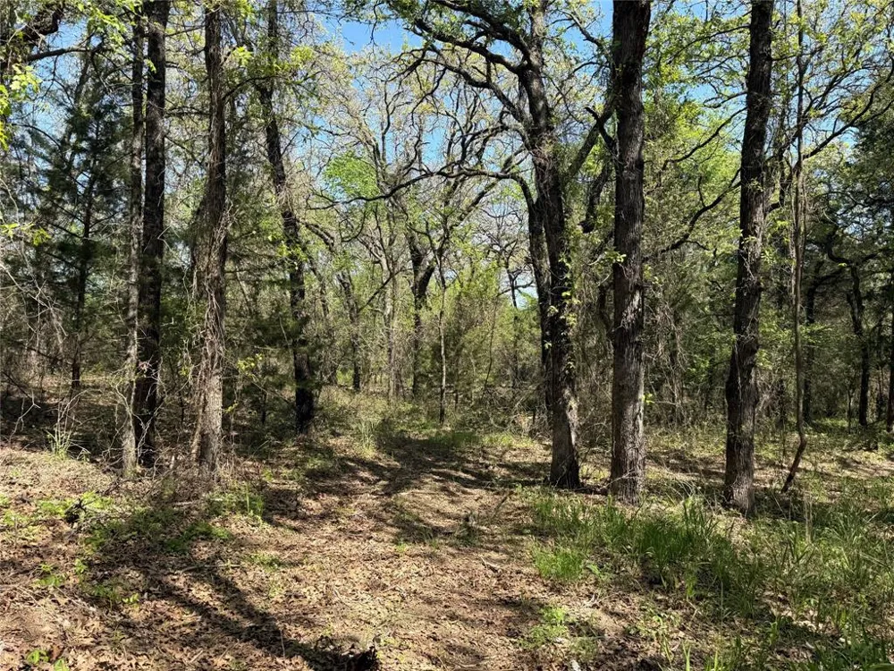 261 Catholic Cemetery Road Montague, TX 76251