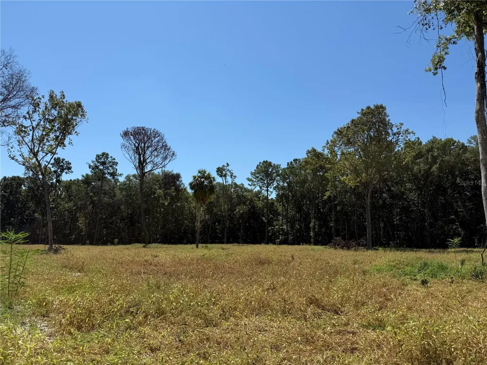 62ac NW 193RD ST Micanopy, FL 32667