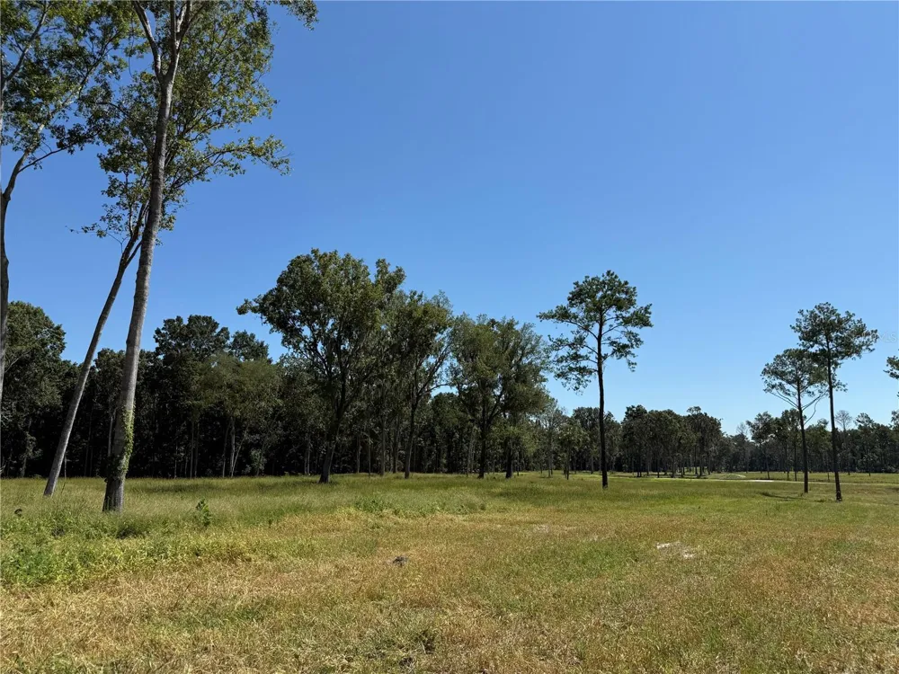 62ac NW 193RD ST Micanopy, FL 32667