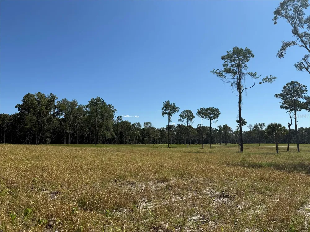 62ac NW 193RD ST Micanopy, FL 32667