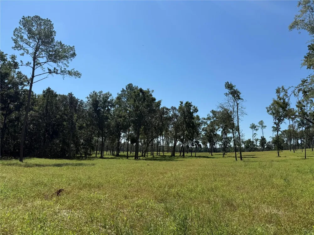 62ac NW 193RD ST Micanopy, FL 32667