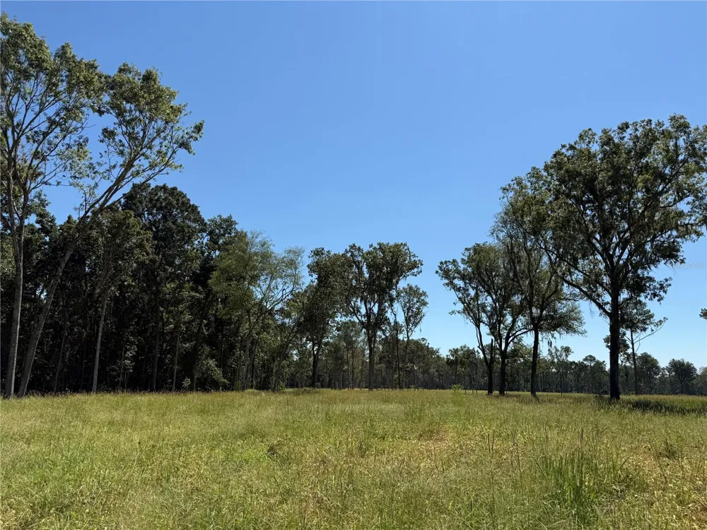 84ac NW 193RD ST Micanopy, FL 32667