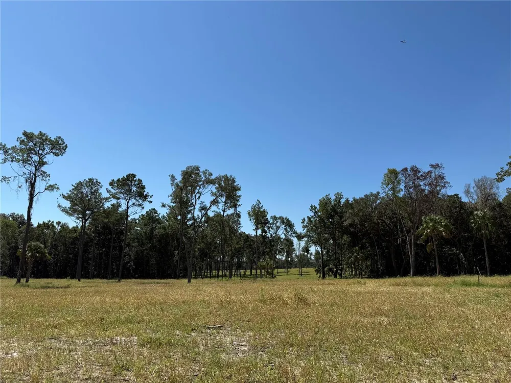 84ac NW 193RD ST Micanopy, FL 32667