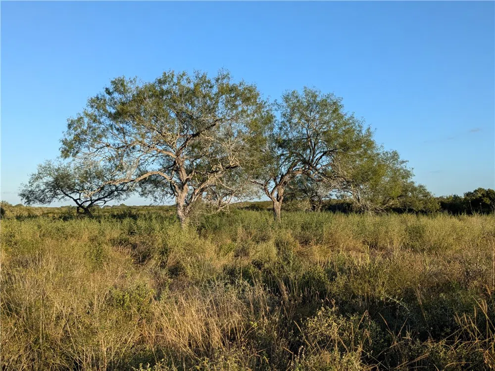 0 San Diego, TX 78384