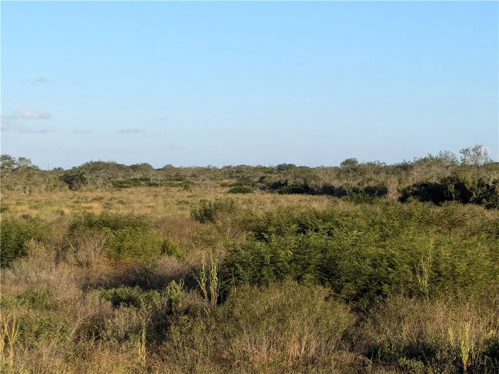 0 San Diego, TX 78384